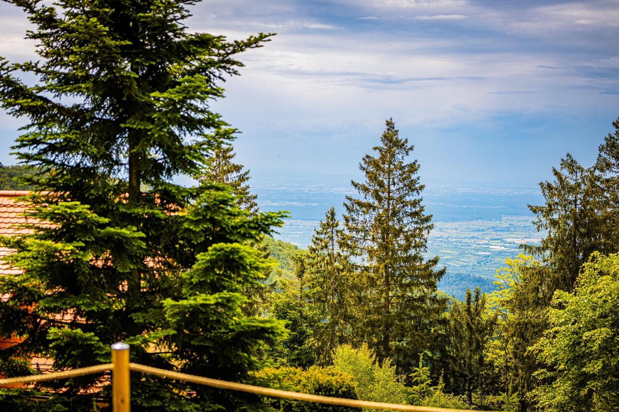 Sonnenhaeusle - Natur. Fernblick. Panorama-Sauna. Sasbachwalden Bagian luar foto