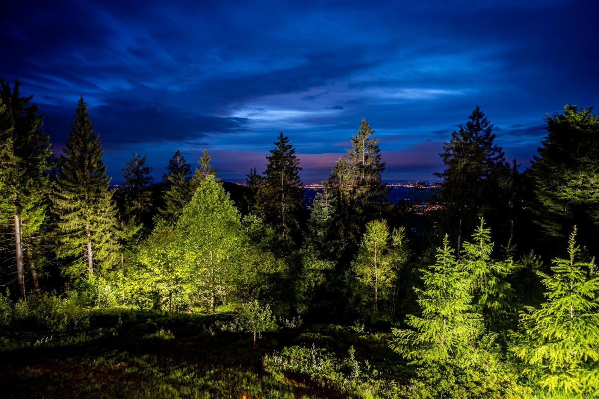 Sonnenhaeusle - Natur. Fernblick. Panorama-Sauna. Sasbachwalden Bagian luar foto