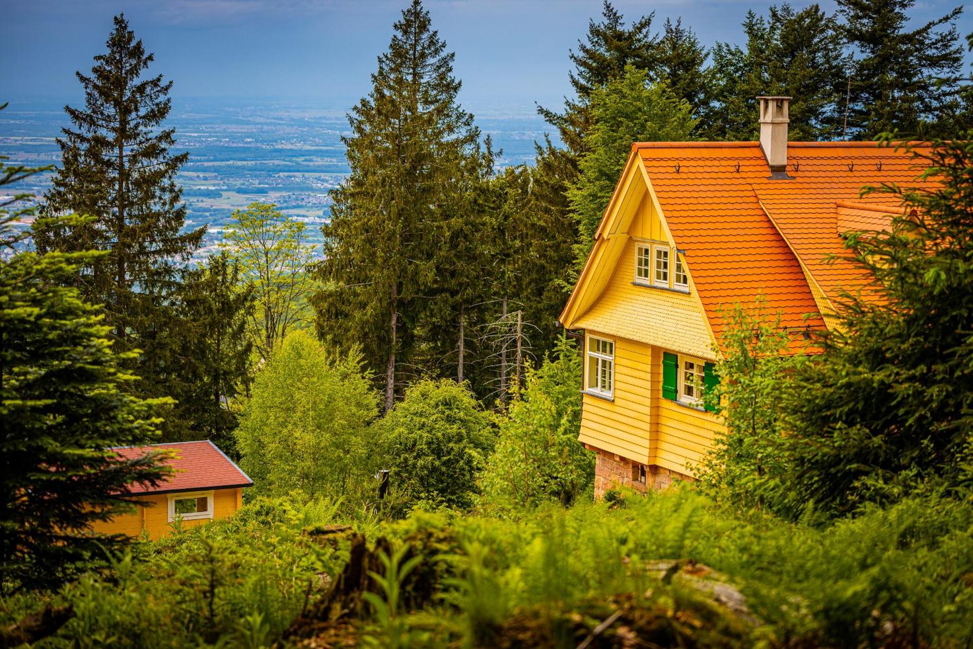 Sonnenhaeusle - Natur. Fernblick. Panorama-Sauna. Sasbachwalden Bagian luar foto