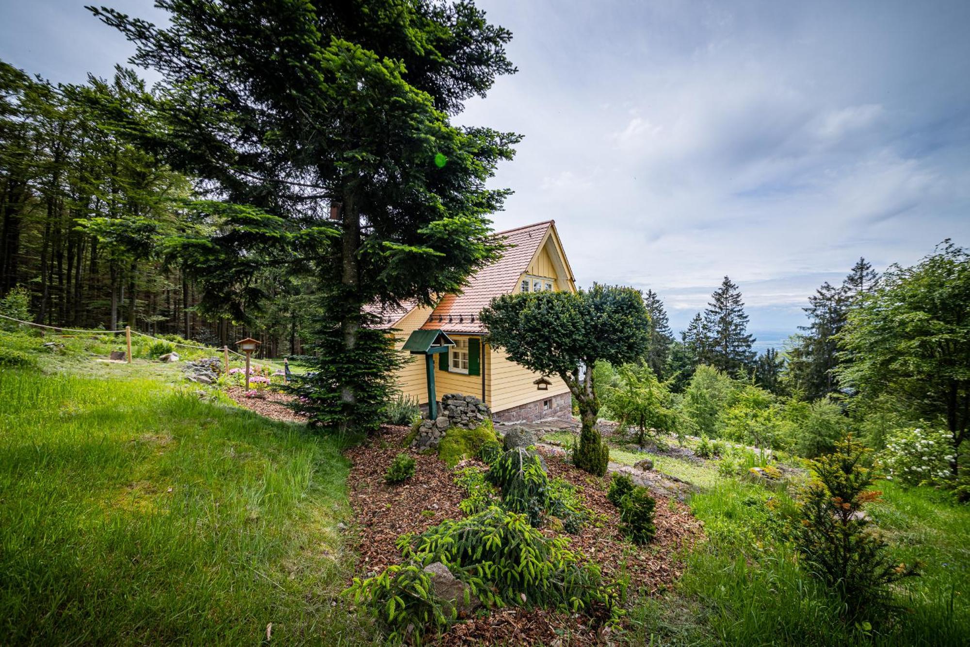 Sonnenhaeusle - Natur. Fernblick. Panorama-Sauna. Sasbachwalden Bagian luar foto