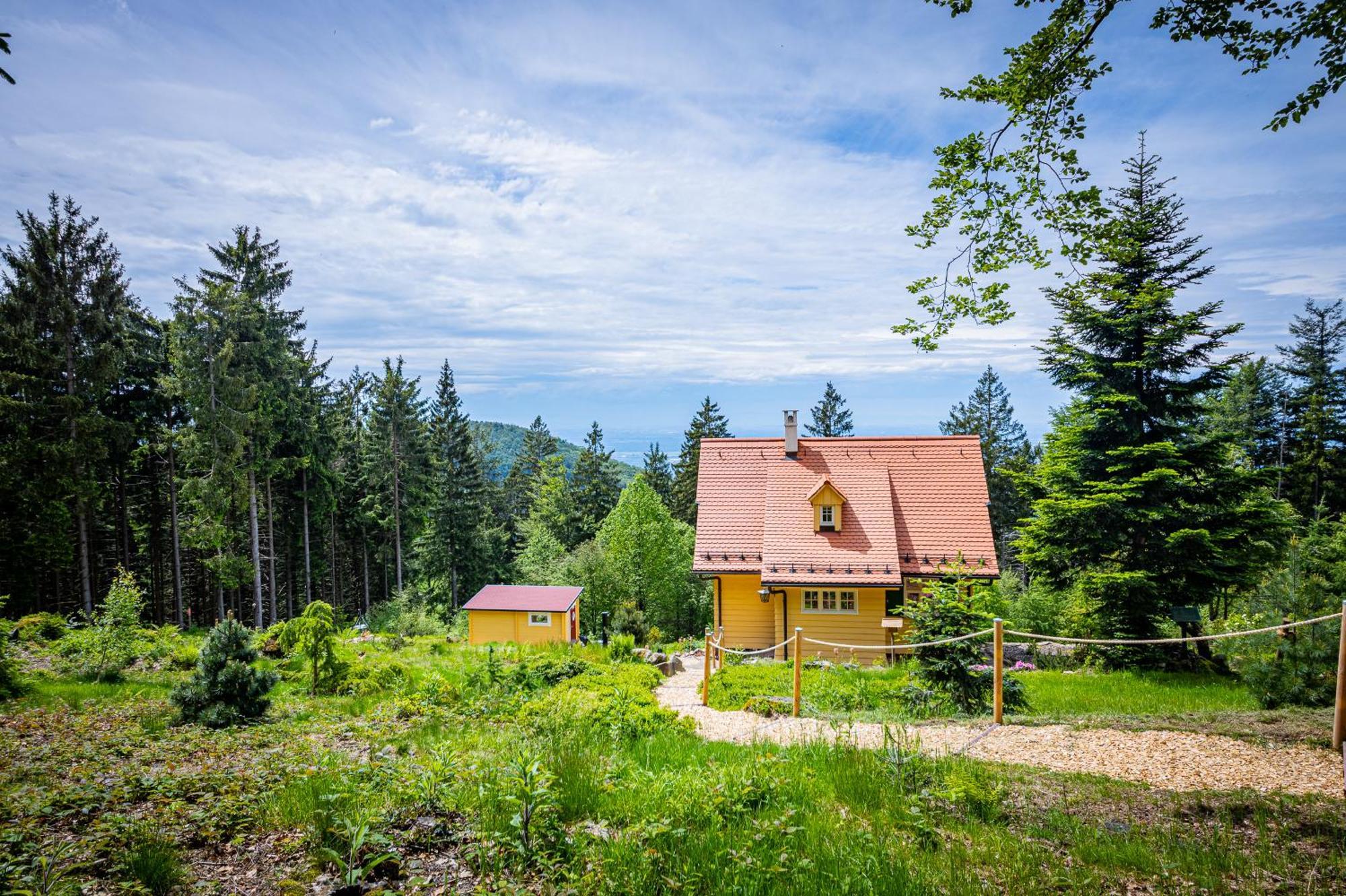 Sonnenhaeusle - Natur. Fernblick. Panorama-Sauna. Sasbachwalden Bagian luar foto