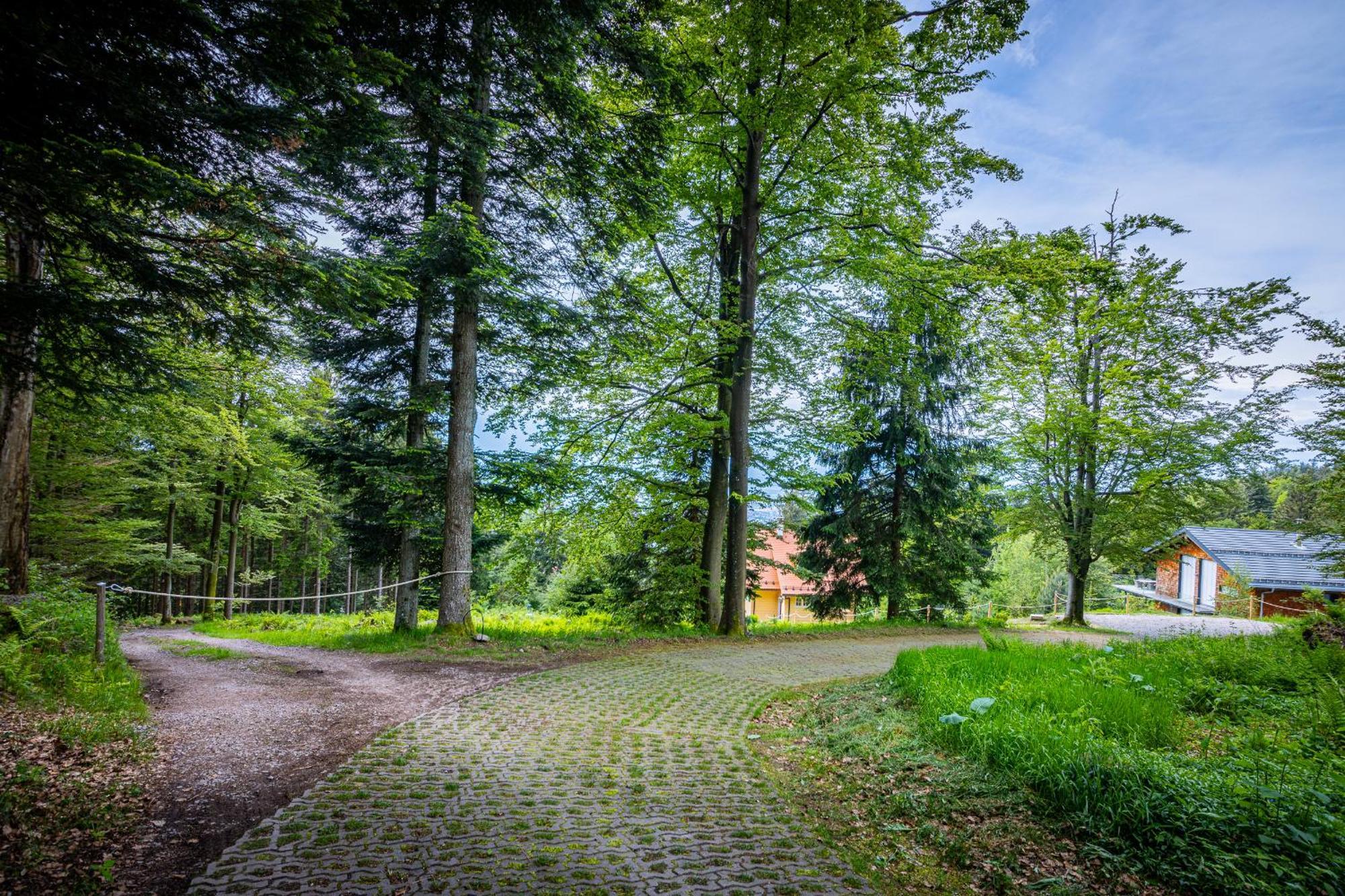 Sonnenhaeusle - Natur. Fernblick. Panorama-Sauna. Sasbachwalden Bagian luar foto