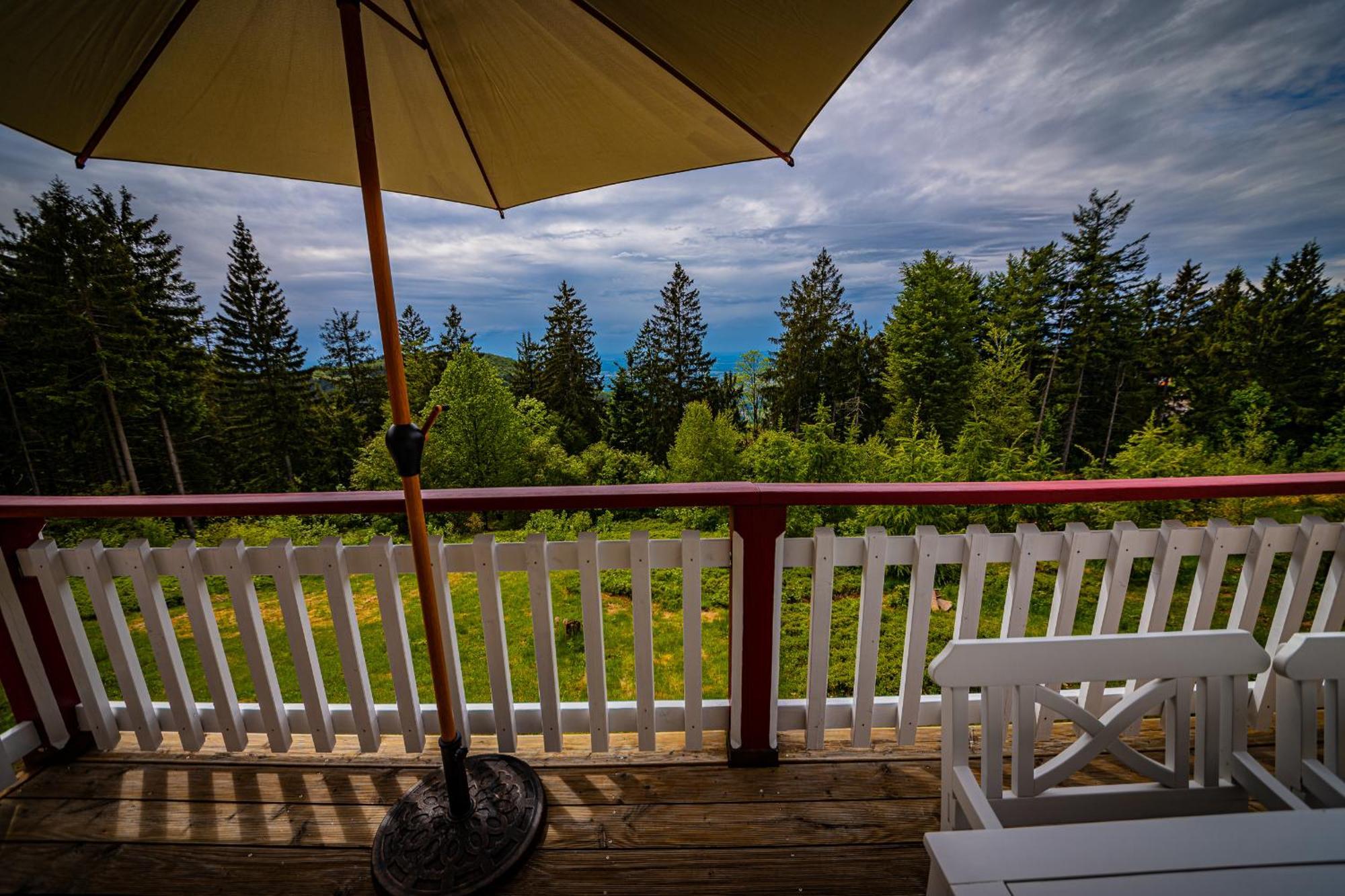 Sonnenhaeusle - Natur. Fernblick. Panorama-Sauna. Sasbachwalden Bagian luar foto
