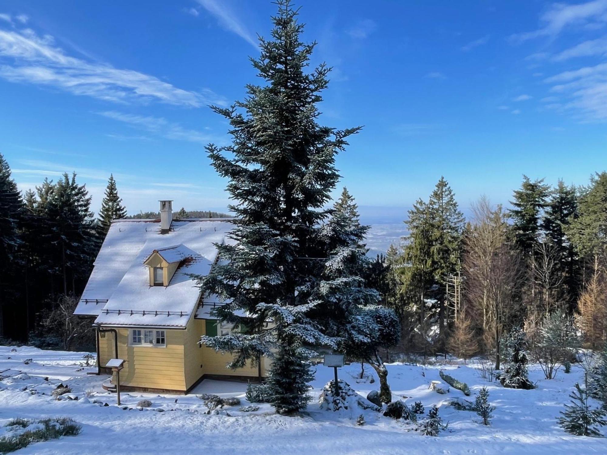 Sonnenhaeusle - Natur. Fernblick. Panorama-Sauna. Sasbachwalden Bagian luar foto